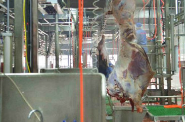南宫28相信品牌的力量,南宫NG28平台网站,ng28南宫相信品牌力量食品